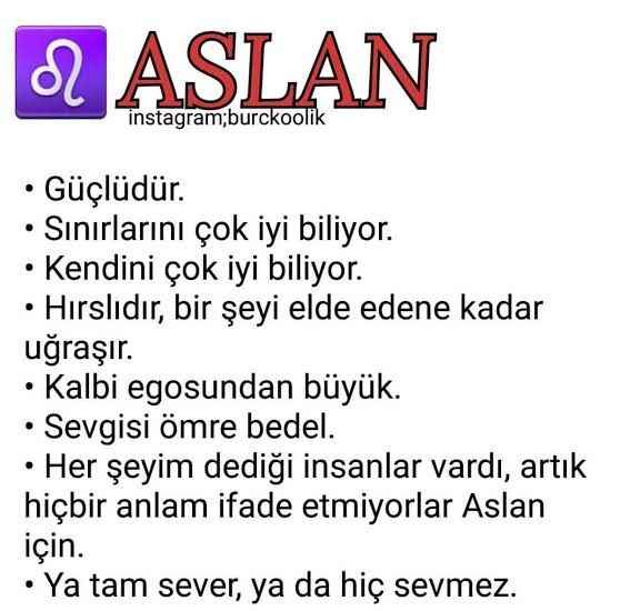 Aslan Burcu Özellikleri Nedir? Kişilik Analizi ve Yüzleşmeler