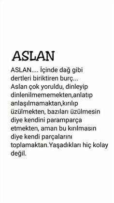 aslan burcu özellikleri nedir